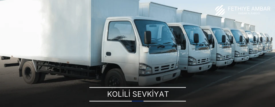 Fethiye Kolili Sevkiyat Ambar Firmaları